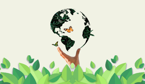 Down to Earth — A Session on Sustainable Living
