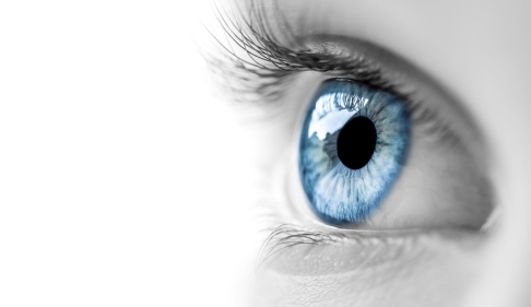 Eye-Q: Smart Habits for Sharp Vision